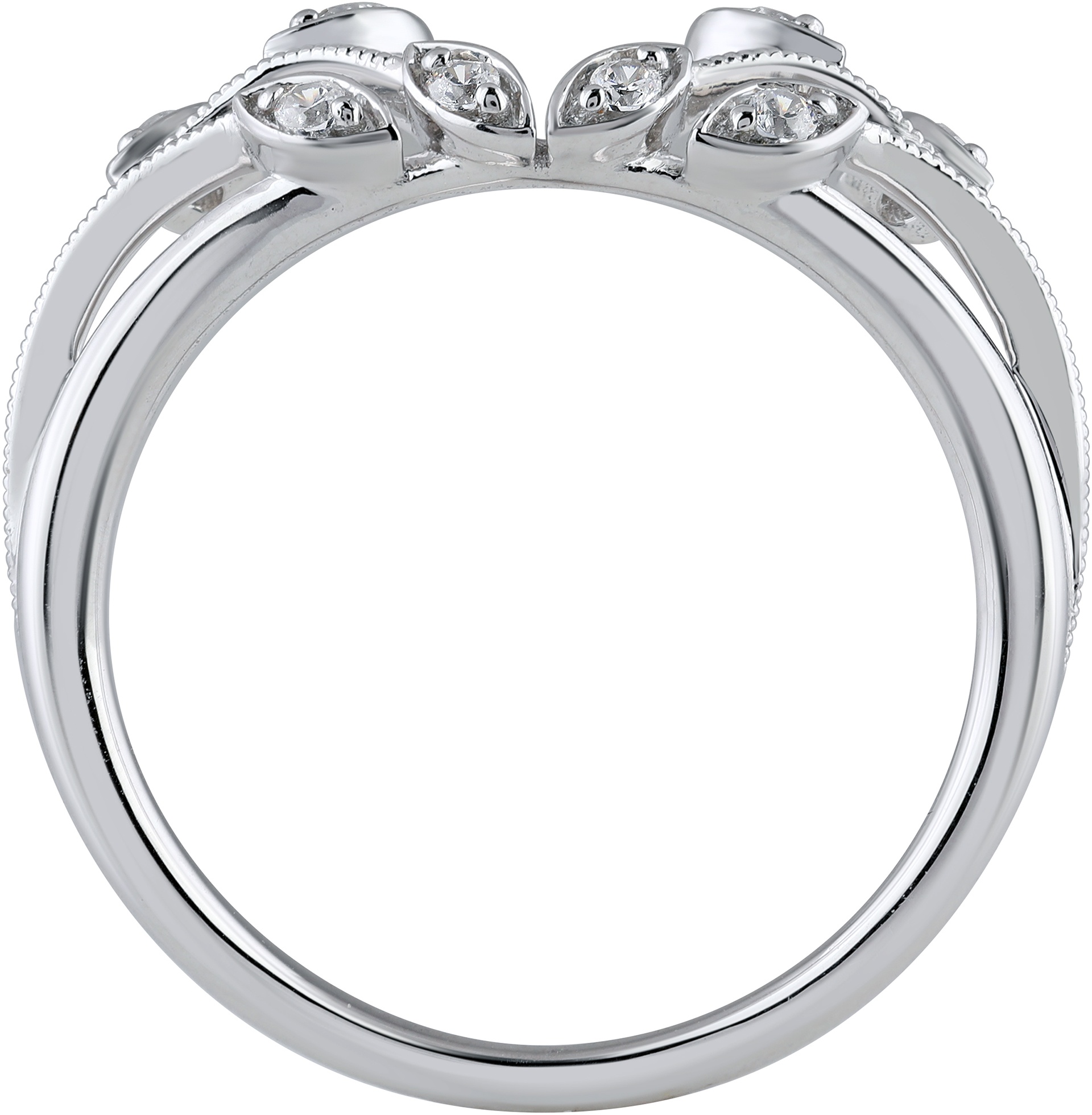 Ring classification Classification Dataset by Personal