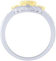 Ring project thumbnail