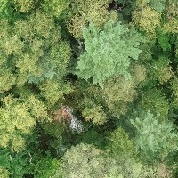 Data Object Detection Dataset by SWISSIMAGE