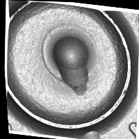 Bullet_final project thumbnail