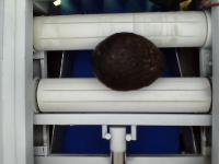 Avocado DT project thumbnail