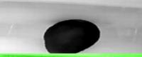 Avocado Thermal project thumbnail