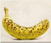 banana project thumbnail