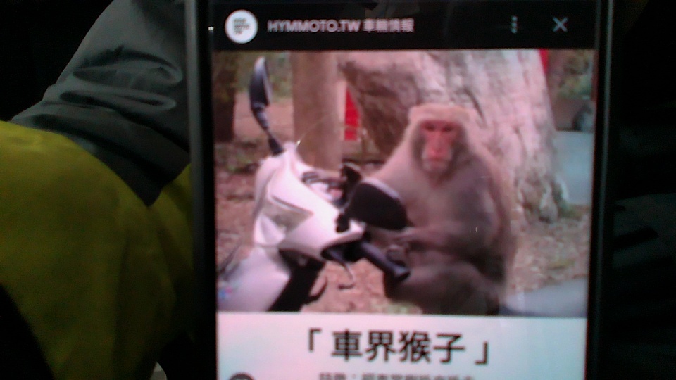 Dvbd How to Use the recomputer Object Detection API