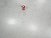 Image Augmentation project thumbnail