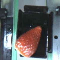 FRESAS TESIS project thumbnail