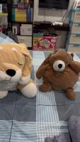 Dubu and Luka Detection project thumbnail
