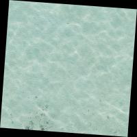 AlFahal_Stylophora project thumbnail