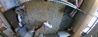 aggressive-pig-pairs project thumbnail