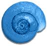 GRIT Insect Segmentation project thumbnail