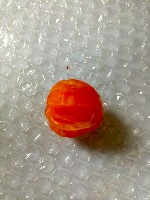 egg project thumbnail