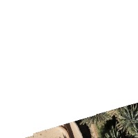 Palm Diseases segmentation project thumbnail