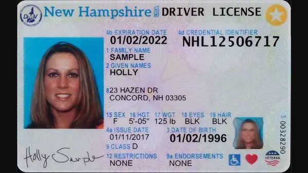 Driverlicense_ detals Object Detection Dataset by SanjeevDriverlicense