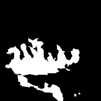 Peatland Forest Fire Mask project thumbnail