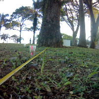 Obstacle Detection 1 project thumbnail