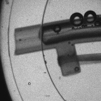 Cathetere segmentation project thumbnail