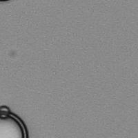 DropletSegmentation project thumbnail