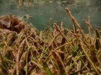 SI project thumbnail