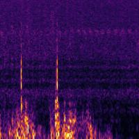 Acoustic Bird project thumbnail