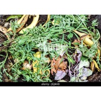 RecycleWaste project thumbnail