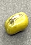 CLASSIFICATION MUNG BEAN project thumbnail