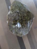 Broccoli project thumbnail