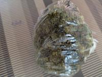 Broccoli project thumbnail