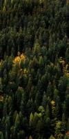 natural-hazards project thumbnail