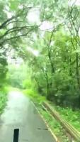 Detection of Roadside Vegetation project thumbnail