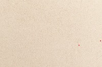 Beach type detection project thumbnail