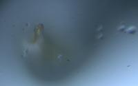 Particle Detection project thumbnail