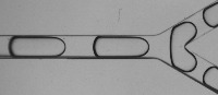Droplet_Detection_Cell project thumbnail