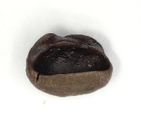 coffee bean defect project thumbnail