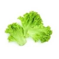 Cabbage project thumbnail