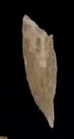 cultural relics project thumbnail
