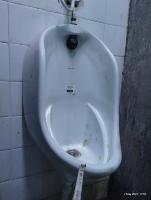 Bathroom-Objects-Detection project thumbnail
