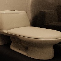 TOILET project thumbnail