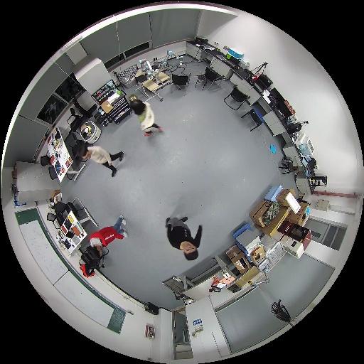 head detection Object Detection Model by detect model dataset