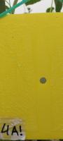 2. PestNu project thumbnail