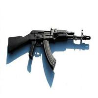 weapan-detection project thumbnail