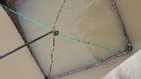 Prawn and Feed Detector project thumbnail