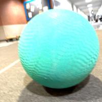 Dataset Image