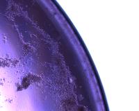 pos_neg_diseases project thumbnail