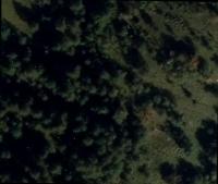 ForestCollection project thumbnail