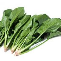 spinach project thumbnail