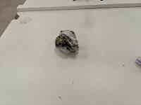 garbage detection for subactions project thumbnail