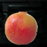 Pomegranate project thumbnail