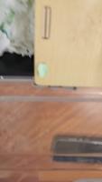 hamster project thumbnail