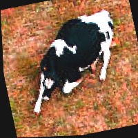 Dataset Image