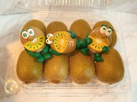 kiwi Object Detection Model by Satoka